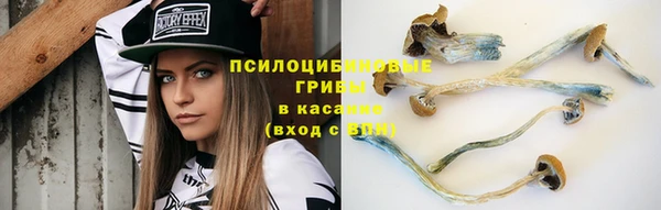 mix Арсеньев