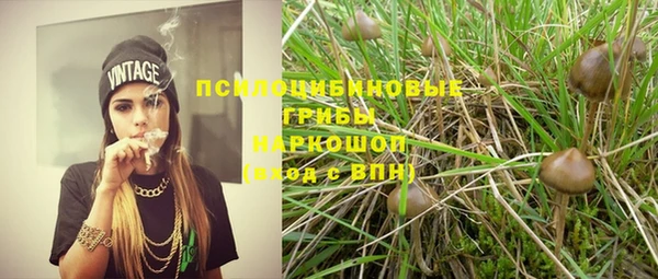 соль курить ск Алзамай