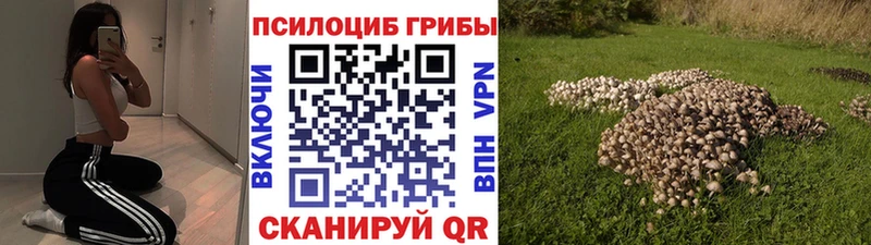 сколько стоит  Усть-Катав  Галлюциногенные грибы прущие грибы 